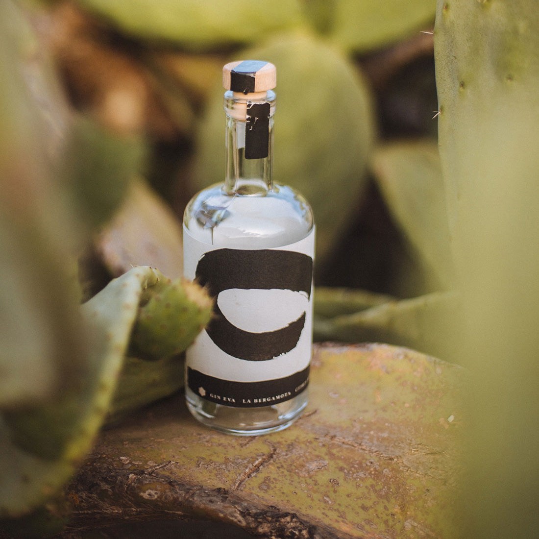 GIN EVA Bergamota