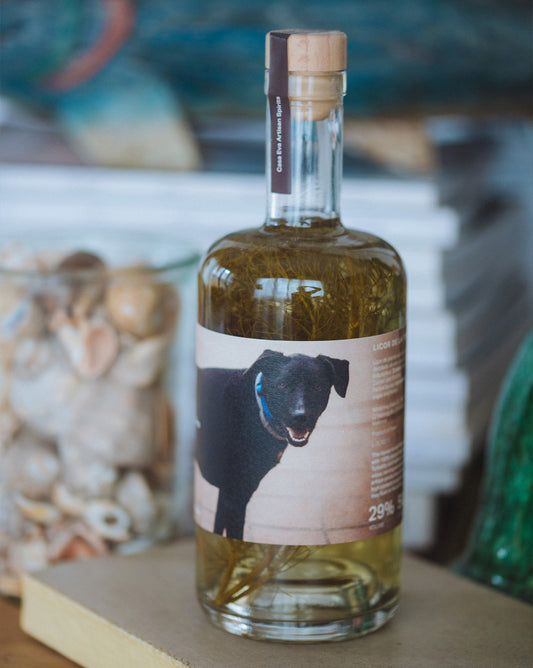Licor de Fololl, hecho en Mallorca con hierbas de la isla